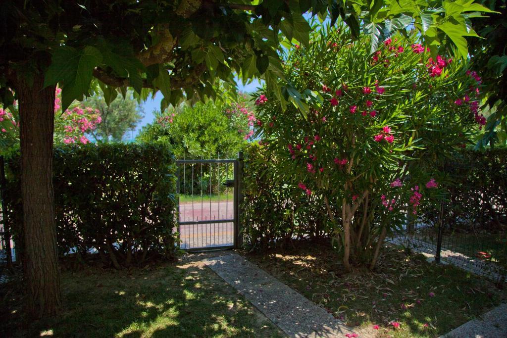 Residence Casabianca 포르토 산 조르조 외부 사진
